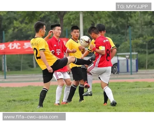 飞翔足球俱乐部：追逐梦想的绿茵场上演绎青春激情与团队精神的传奇故事